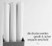 Print - Typo - Spruch - Einer spinnt immer